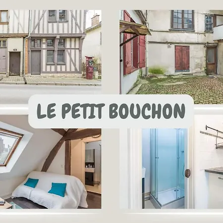 Apartment Le Petit Bouchon - - Hypercentre