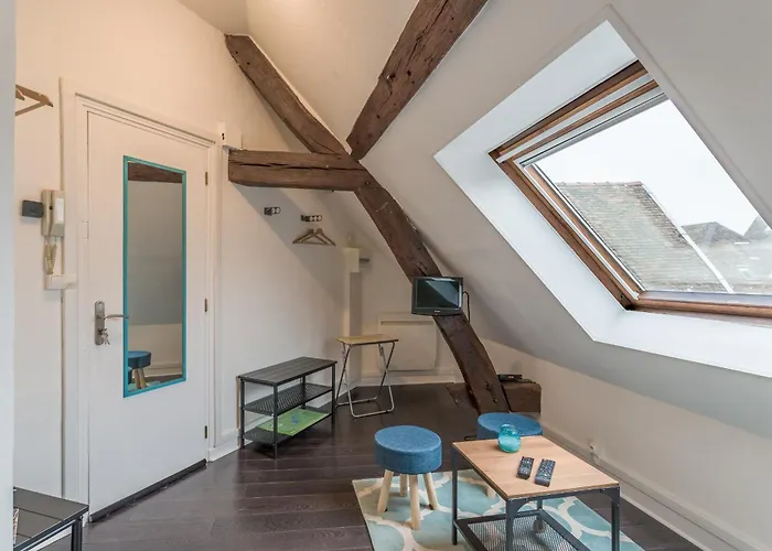 Apartment Le Petit Bouchon - - Hypercentre